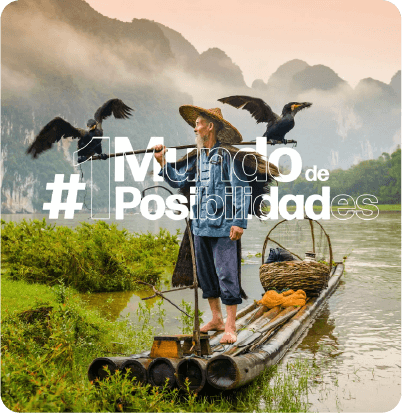 Campaña Publicitaria